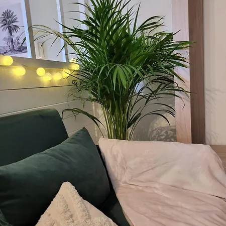 Διαμέρισμα Lambert Centre Μυλούζη