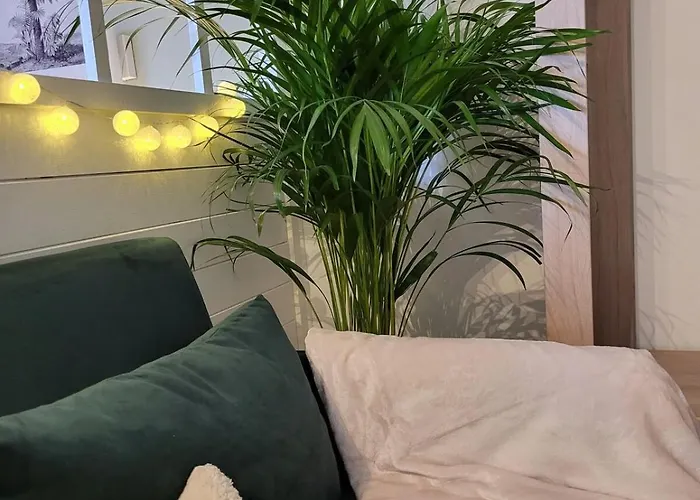 Appartamento Lambert Centre Mulhouse